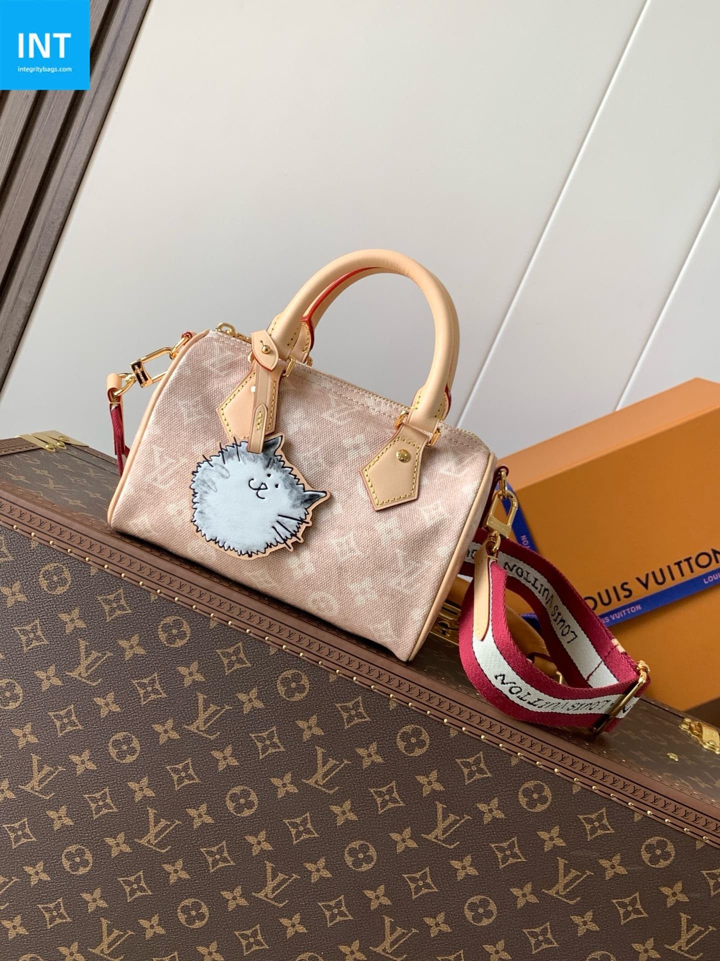 Louis Vuitton Speedy 20 Meowgram Coated - Image 4