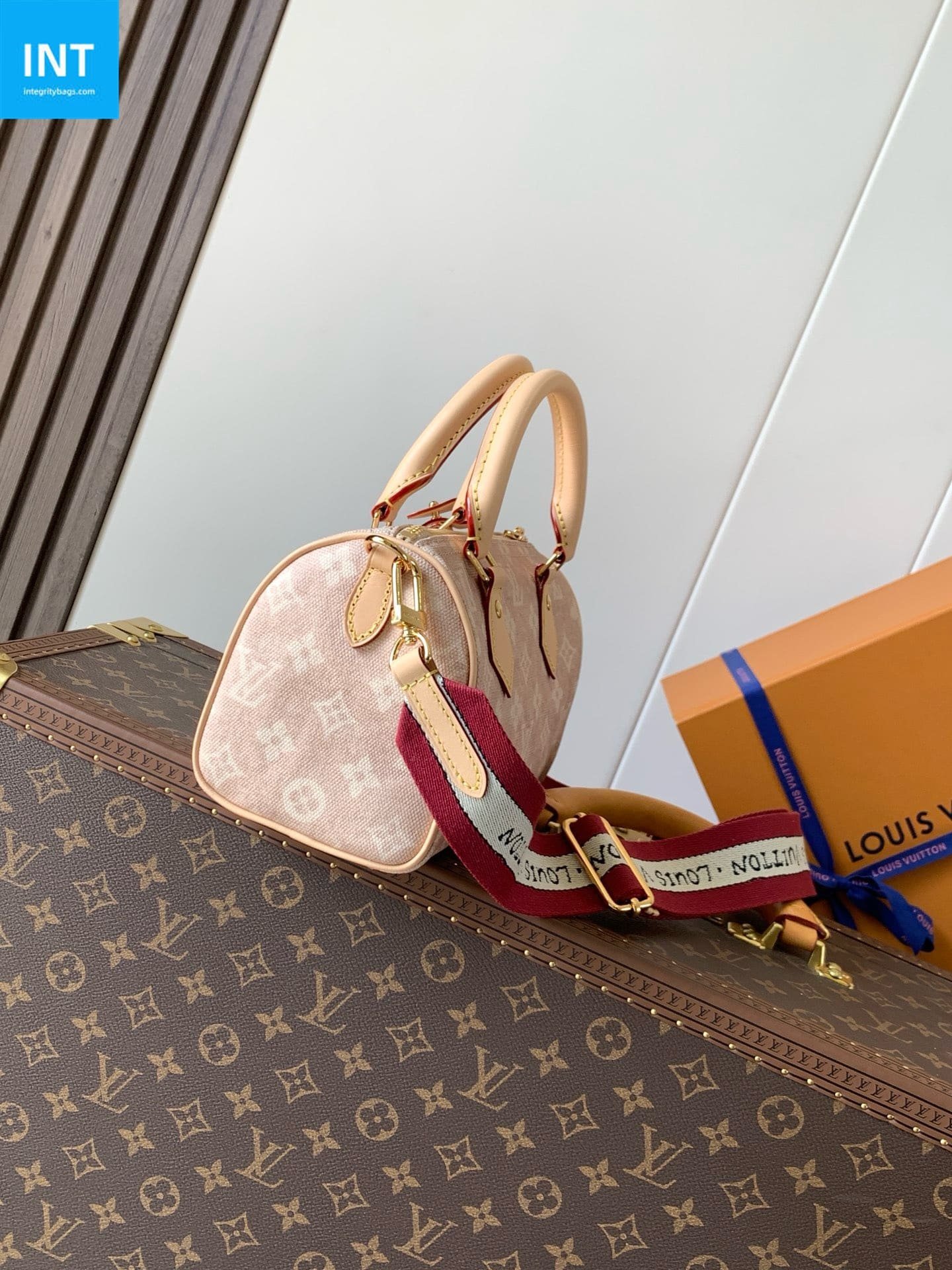 Louis Vuitton Speedy 20 Meowgram Coated - Image 5