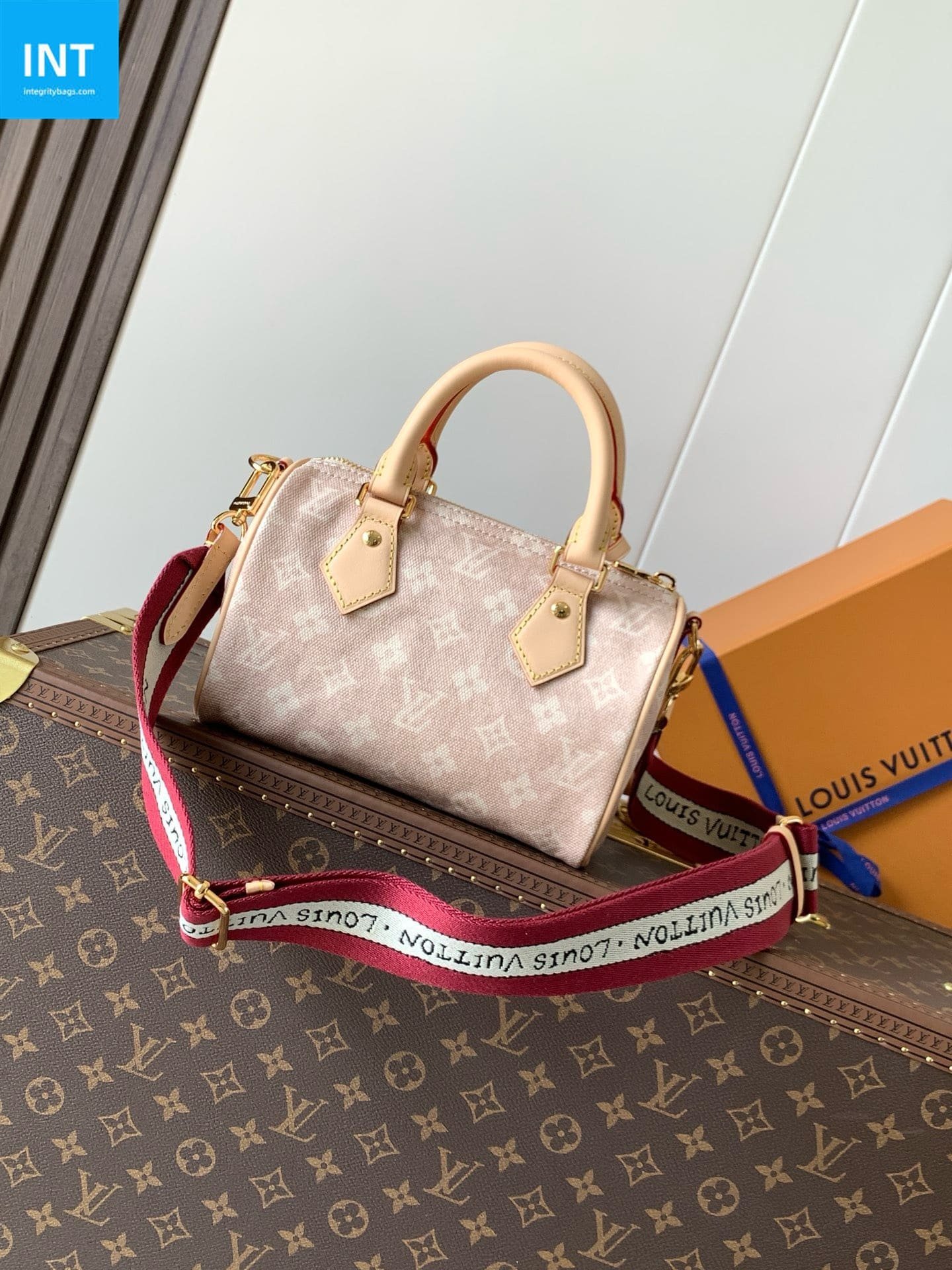Louis Vuitton Speedy 20 Meowgram Coated - Image 6