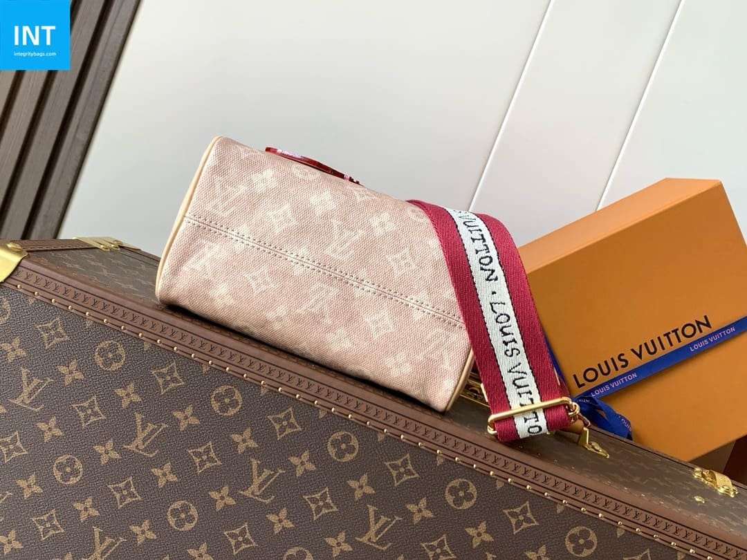 Louis Vuitton Speedy 20 Meowgram Coated - Image 7