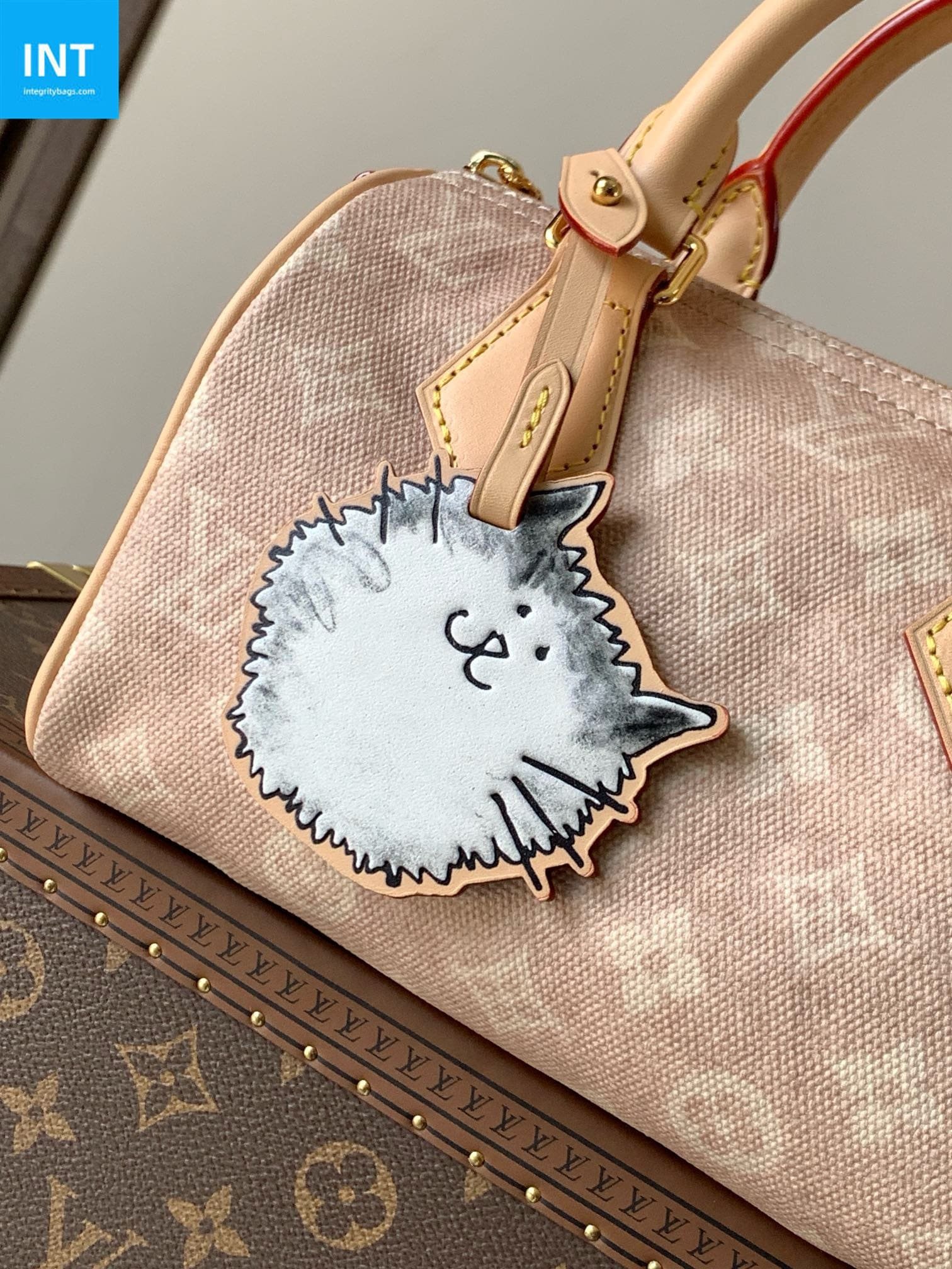 Louis Vuitton Speedy 20 Meowgram Coated - Image 8
