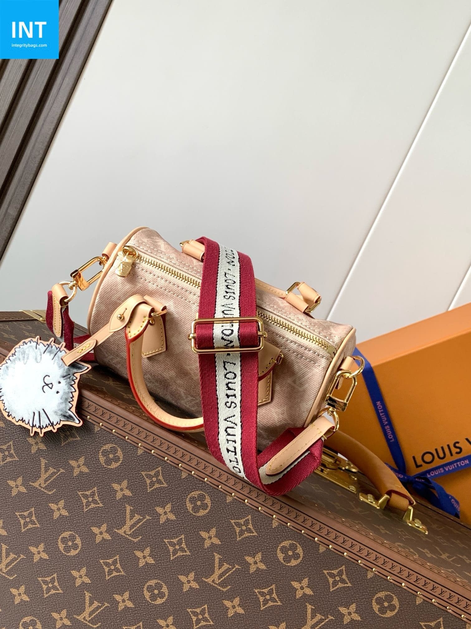 Louis Vuitton Speedy 20 Meowgram Coated - Image 10