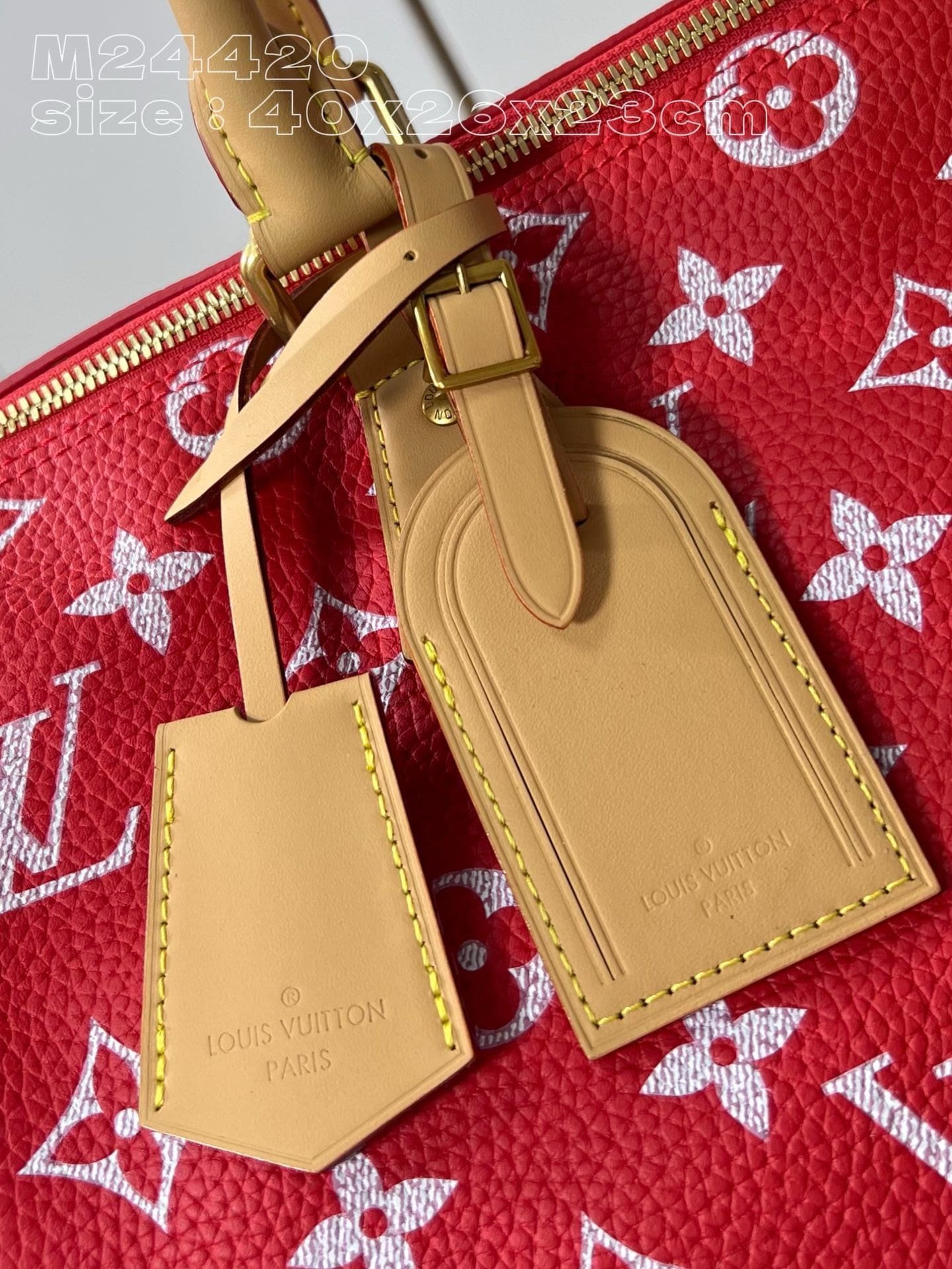 Louis Vuitton Speedy P9 Bandoulière 40 - Image 14