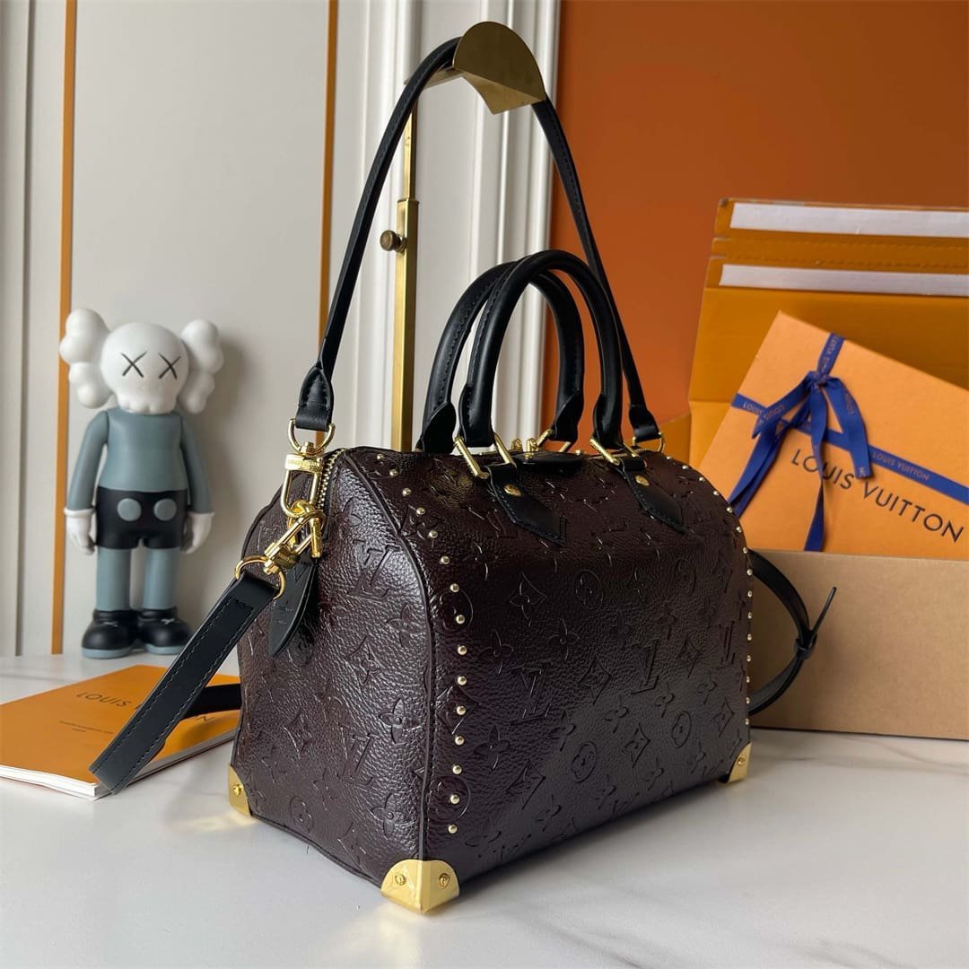 Louis Vuitton Speedy Trunk 25 Calfskin - Image 5