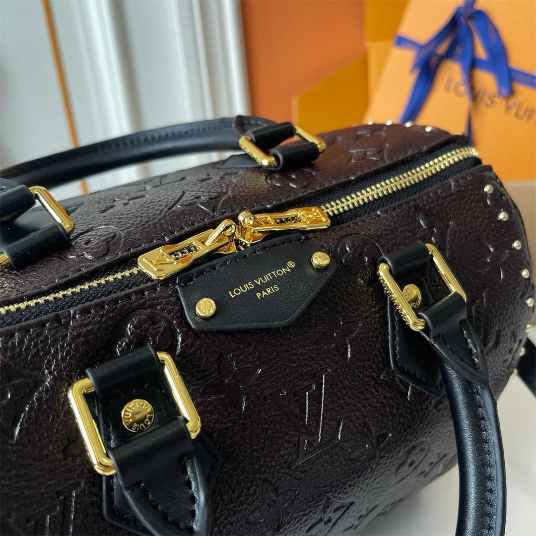 Louis Vuitton Speedy Trunk 25 Calfskin - Image 10