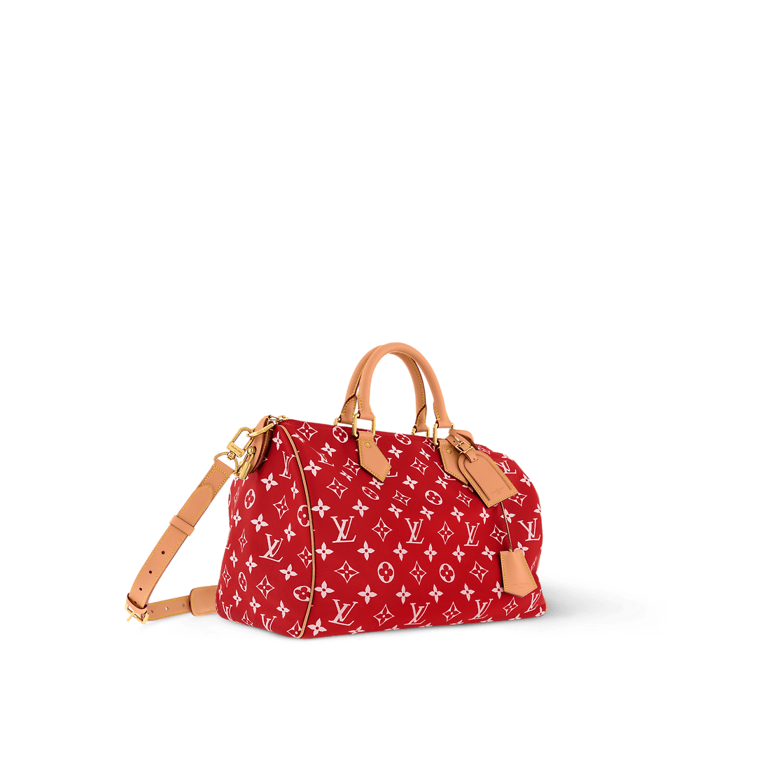 Louis Vuitton Speedy P9 Bandoulière 40 - Image 3