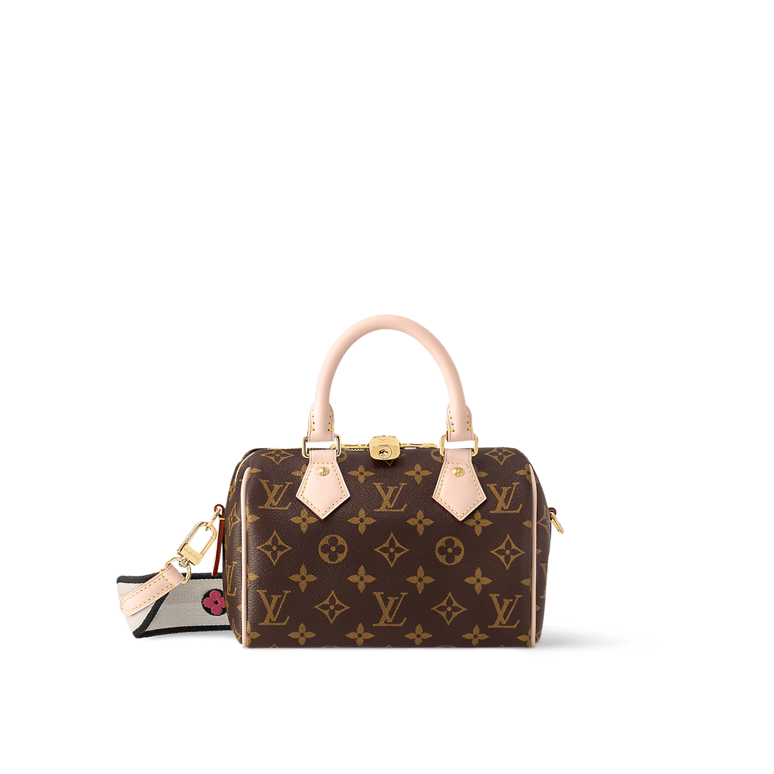 Louis Vuitton Speedy 20 Black Classic