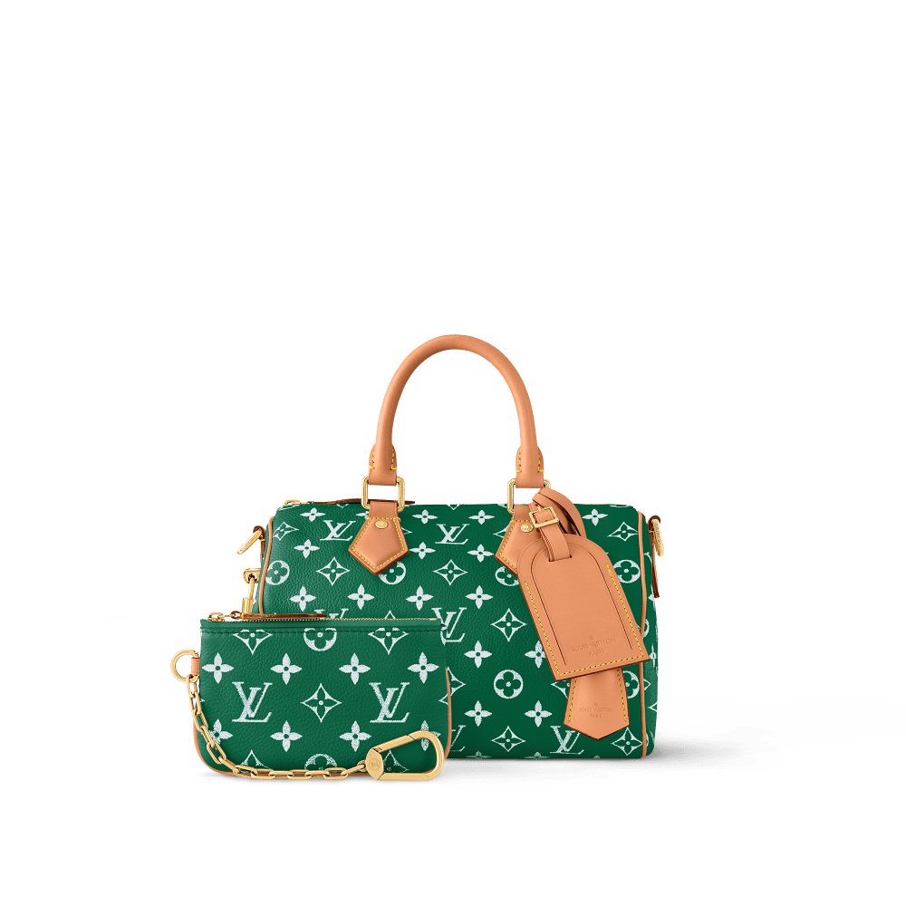 Louis Vuitton Speedy P9 25 Monogram