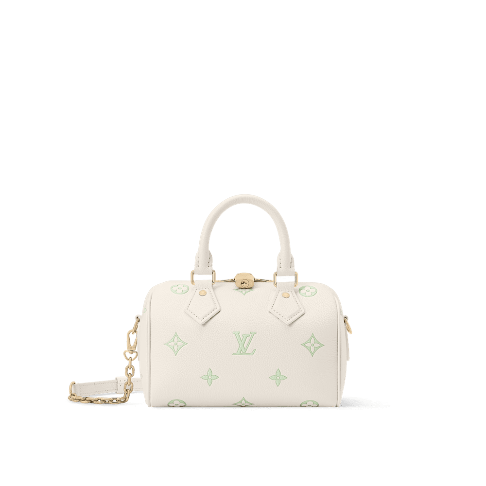 Louis Vuitton Speedy 20 Two-Tone