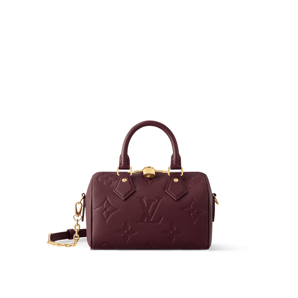 Louis Vuitton Speedy 20 Monogram