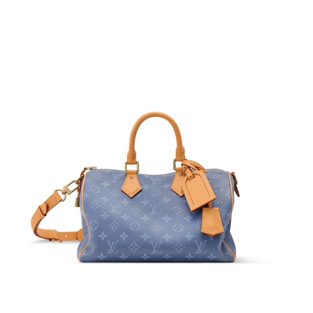 Louis Vuitton Speedy P9 30 Silk Blue