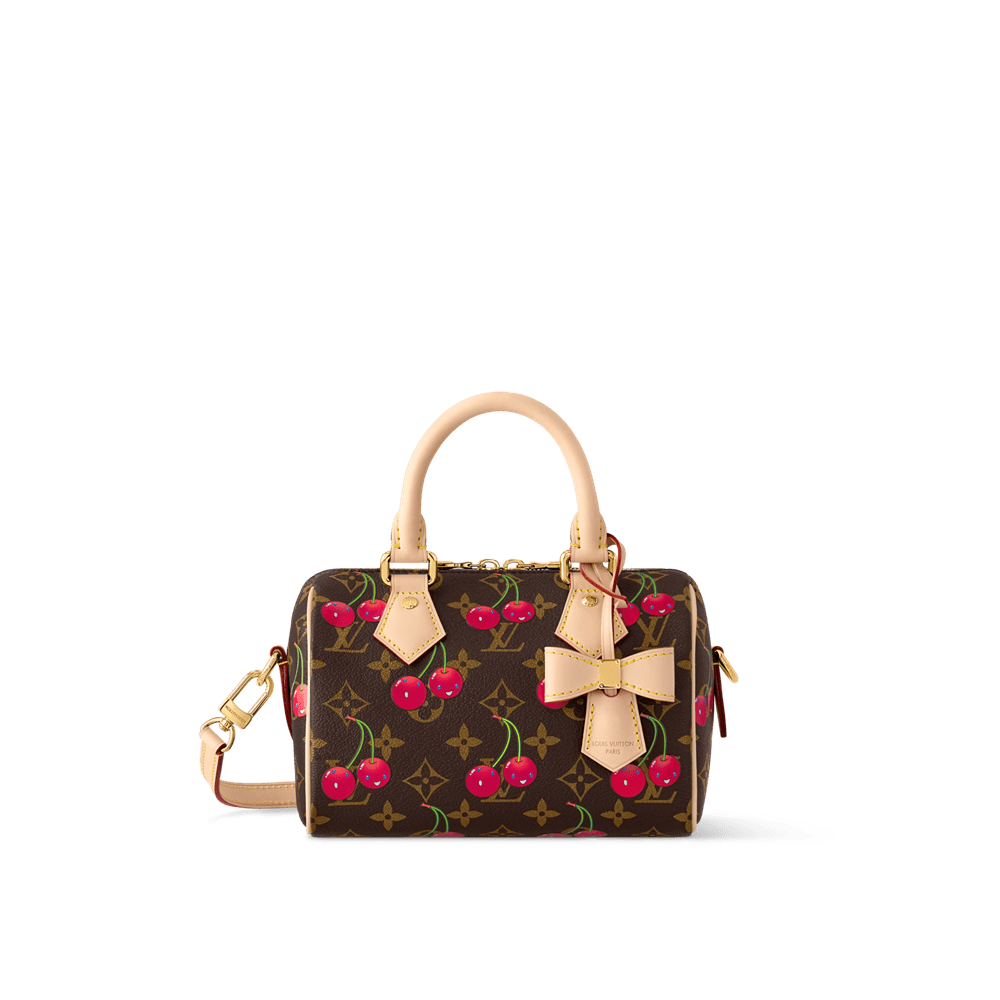Louis Vuitton LV x TM Speedy 20