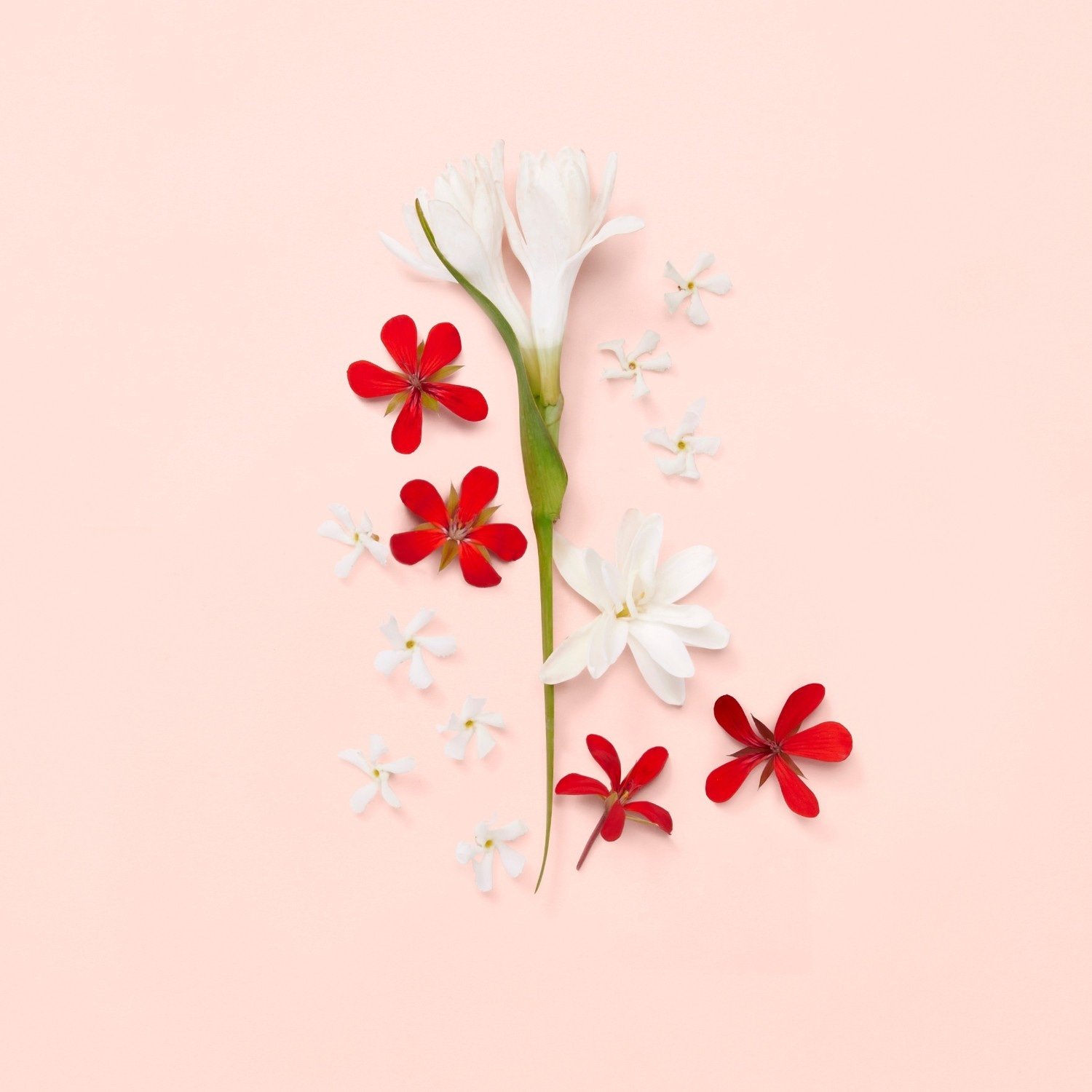 Alternative view of Gucci Bloom Yellow Perfume