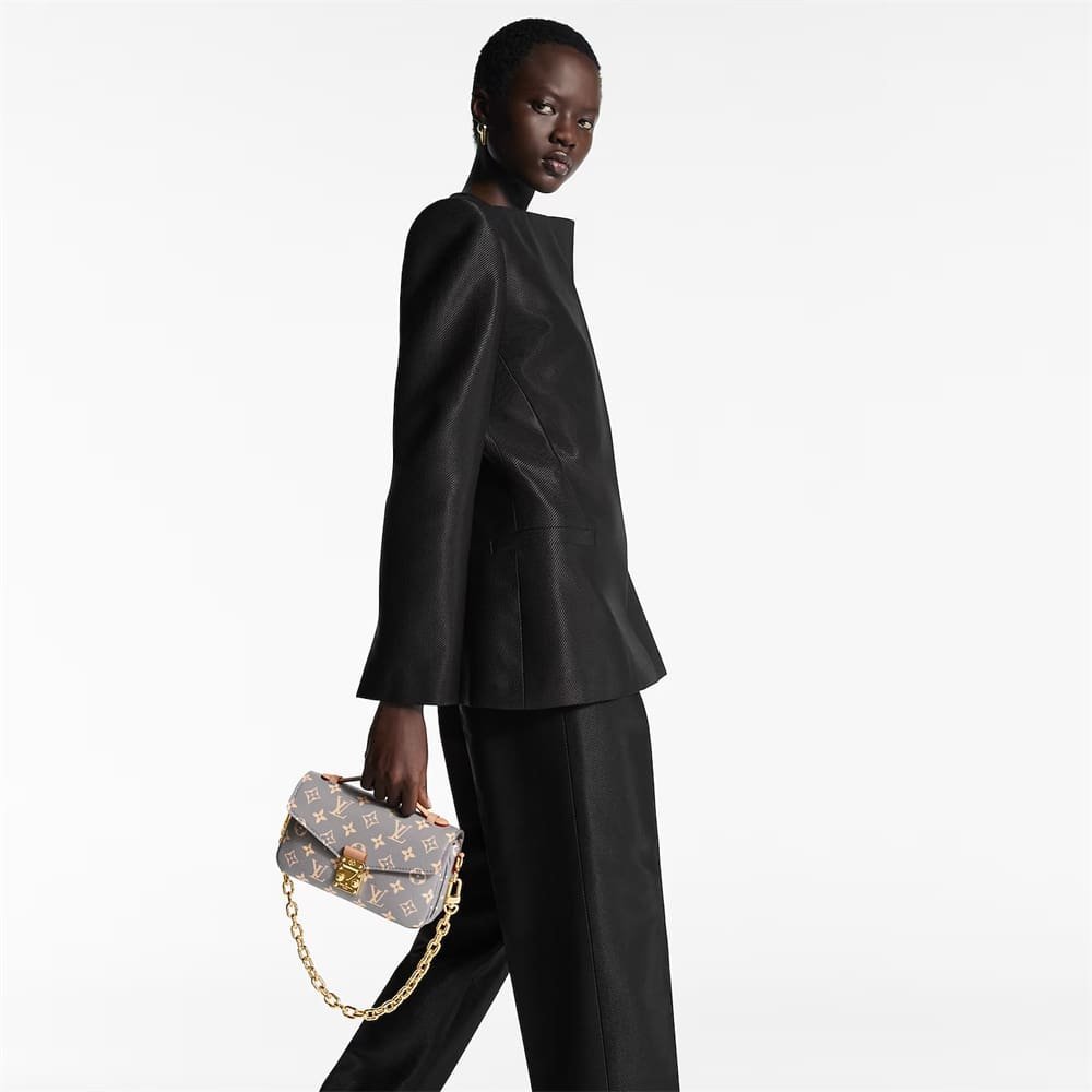 Louis Vuitton Métis East West Trianon Gray - Image 13