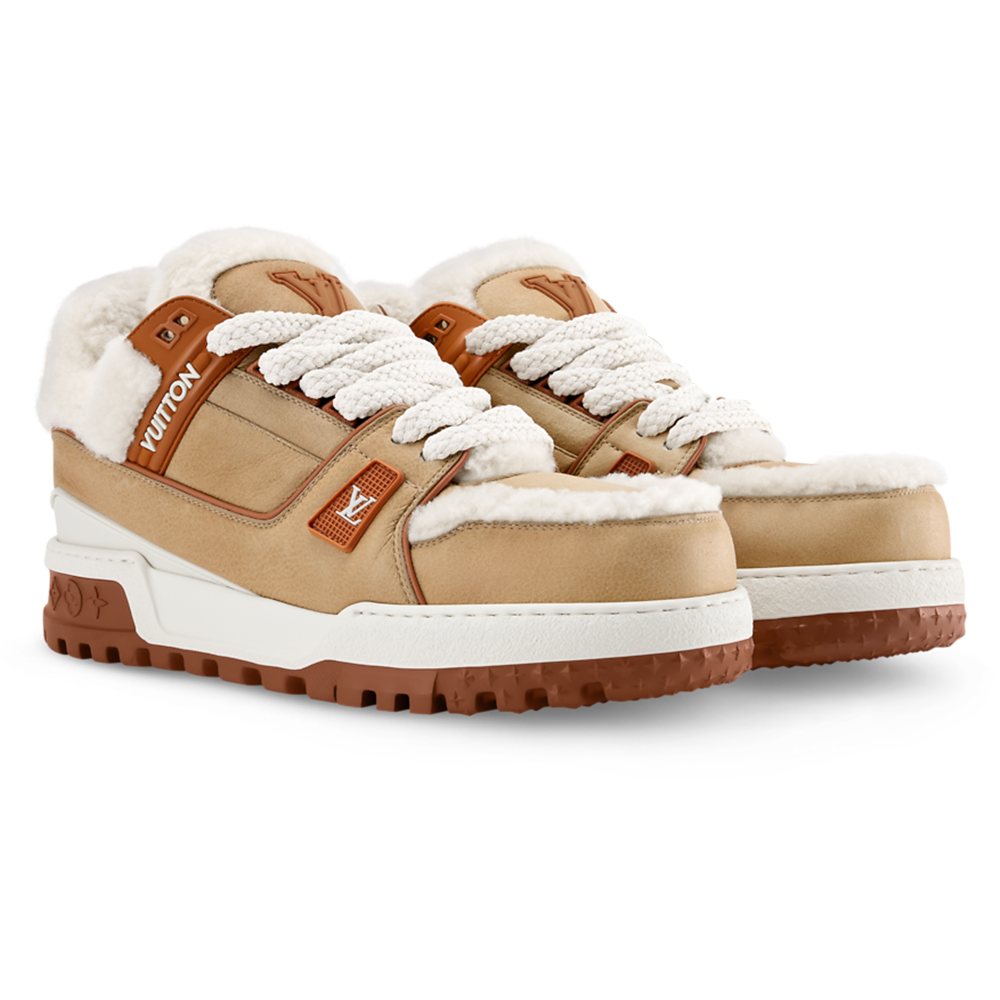 Alternative view of LV Trainer 'Brown'