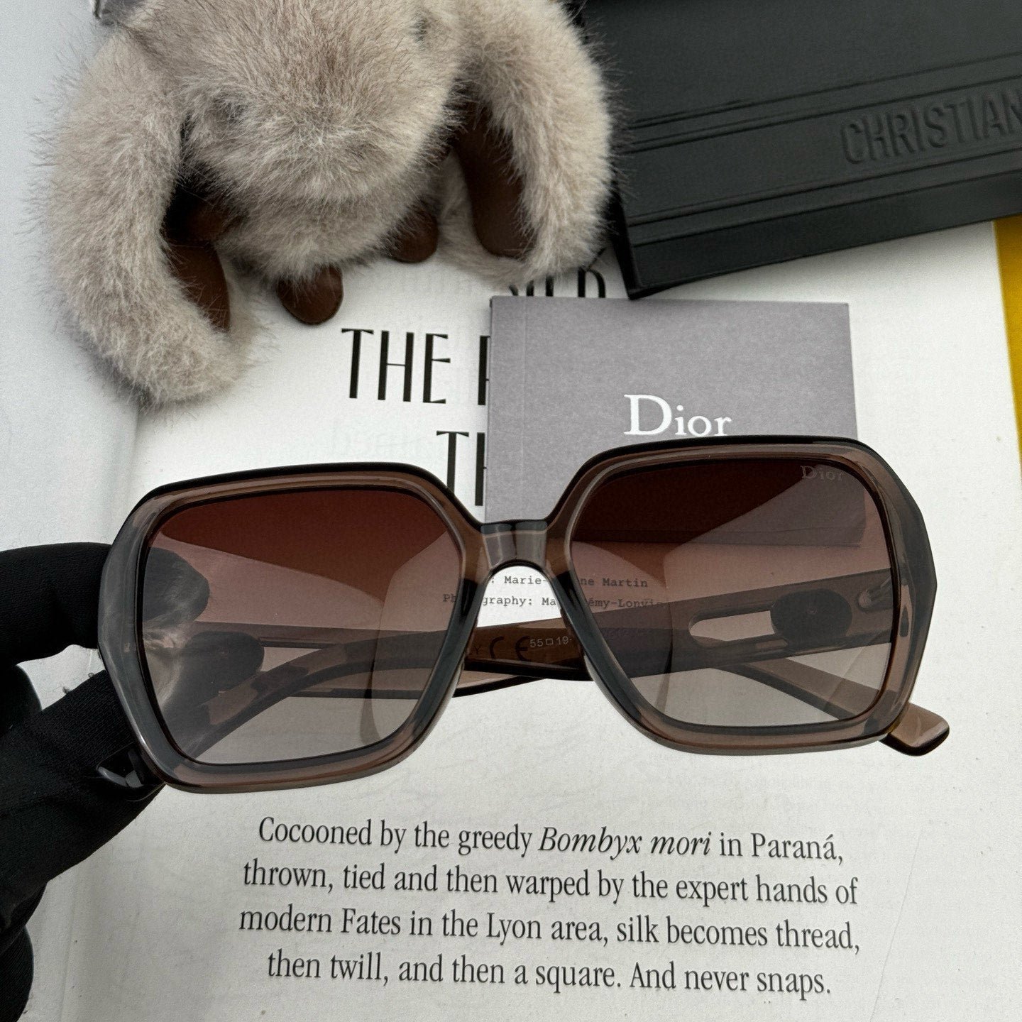 DIOR MONTAIGNE SUNGLASS CD2512 IN ACETATE - Image 4