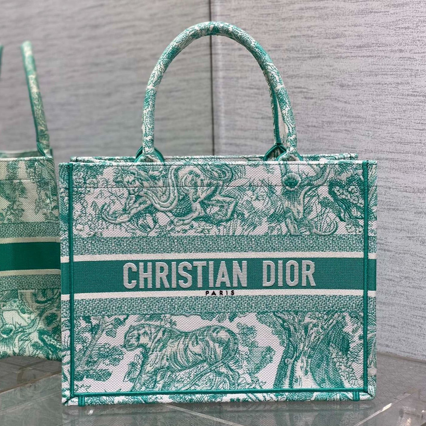 Dior Book Tote 36 Aquamarina Canvas Bag