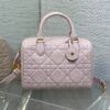 Dior Groove Series Light Pink Lambskin Large Barrel Bag