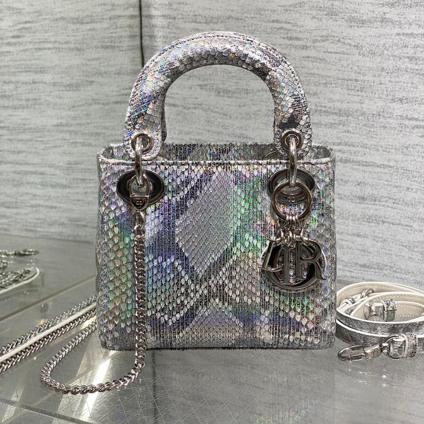 Dior Lady Series Silver Snakeskin Lambskin Handbag