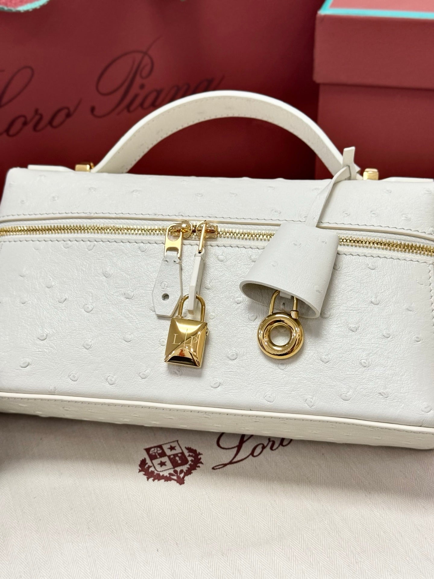 Loro Piana Extra White Ostrich Case - Image 4
