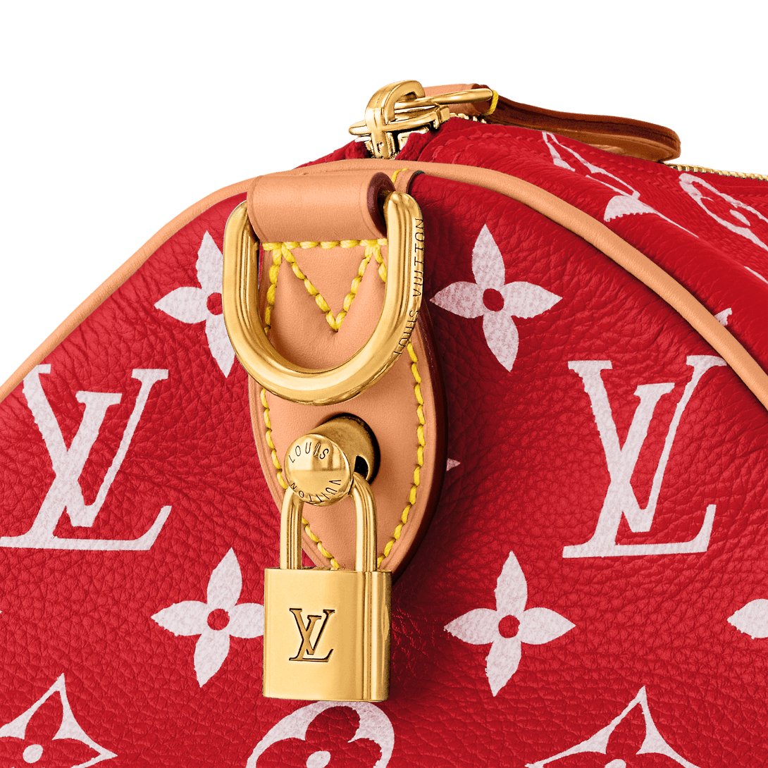 Louis Vuitton Speedy P9 Bandoulière 40 - Image 4