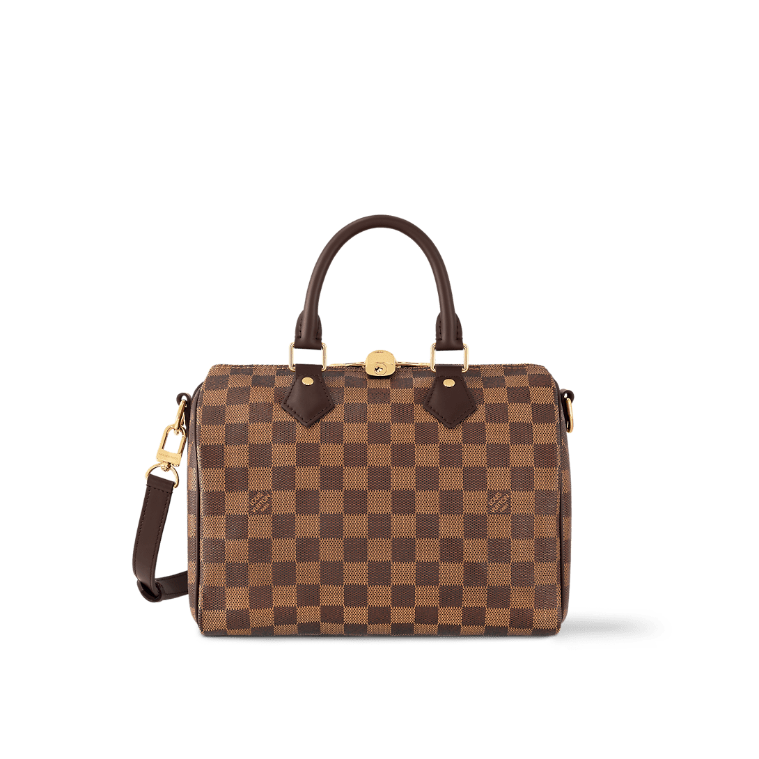 Louis Vuitton Speedy 25 Damier Canvas